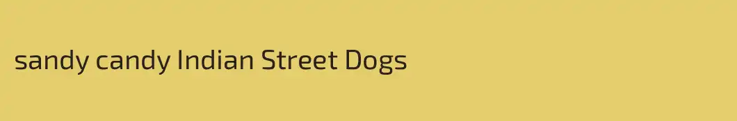 sandy candy Indian Street Dogs